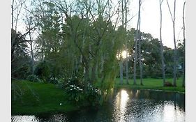 Quiet Waters
